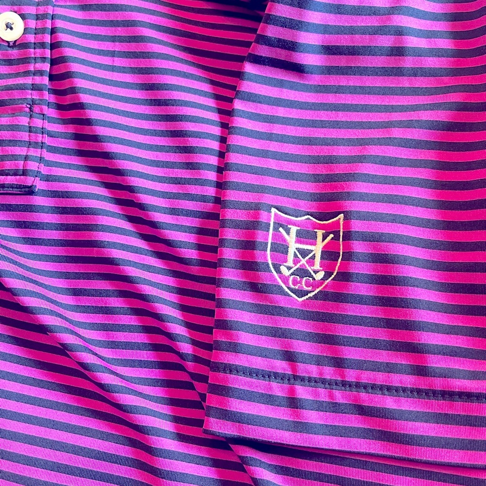 RLX Ralph Lauren X Series Golf Polo Pink Blue Striped Performance Shirt Men’s M - Picture 7 of 16